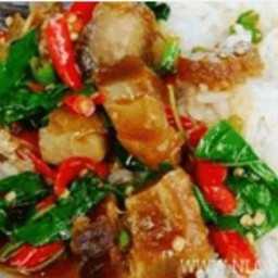 กระเพราหมูกรอบ