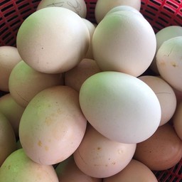 ไข่ ข้าว