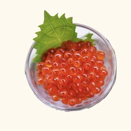 302 อิคุระ 50g