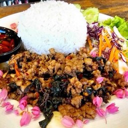 ข้าวร้าดกะเพราหมู