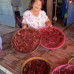 รินรดาเนื้อวัวแดดเดียวปากหนามแดดเดียว