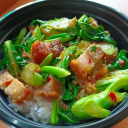 ข้าวคะน้าหมูกรอบ