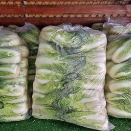 ผักกาดเล็ก 1 ถุง 10 กิโลกรัม