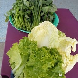 ผักสด