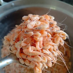 กุ้งคั่วเกลีอ