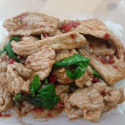 กะเพราหมูชิ้น ราดข้าว