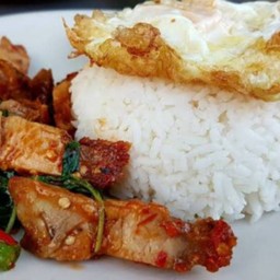 กระเพราหมูกรอบราดข้าวไข่ดาว