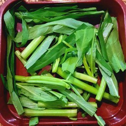 ผักบุ้ง