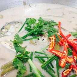 ต้มกะทิปลาทูสายบัว