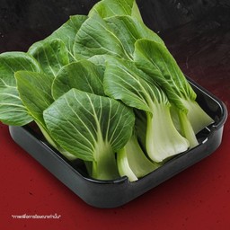 กวางตุ้งใต้หวัน