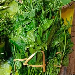 ผักเมือง 1 กำ