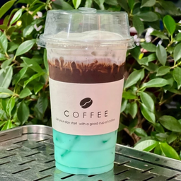 โกโก้มิ้นท์