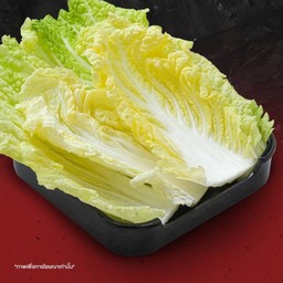 ผักกาดขาว