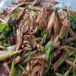 ผักเฮือด ครึ่ง โล