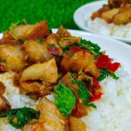 กระเพราหมูกรอบราดข้าว