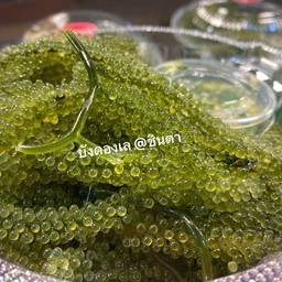 สาหร่ายพวงองุ่น