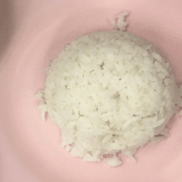 ข้าวเปล่า