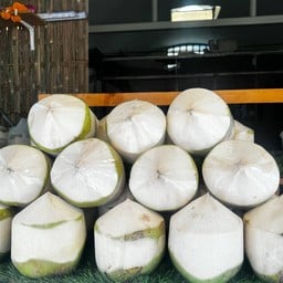 Set C มะพร้าวน้ำหอมดำเนินสะดวก ราชบุรี ควั่นขาว 10 ลูก 10 coconuts