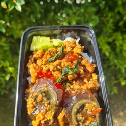 ข้าวราดกระเพราไข่เยี่ยวม้าทอด