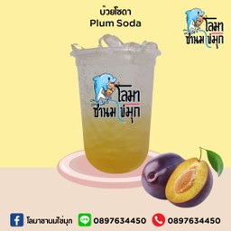 บ๊วยโซดา
