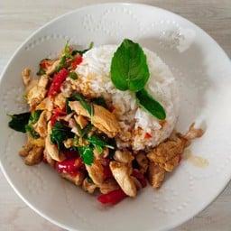 กะเพราไก่ราดข้าว