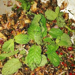 ก้อยหอย