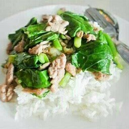 ข้าวคะน้าหมูชิ้น