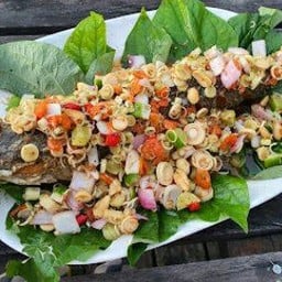 ปลาช่อนโบราณ