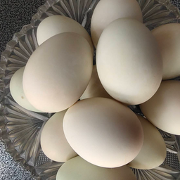 ไข่เป็ดต้ม