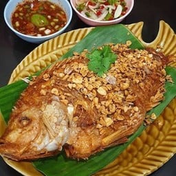 ทับทิมทอเทียม
