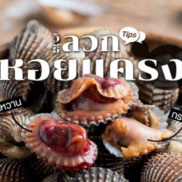 ลวกหอยเเครง 🐚 บางนา