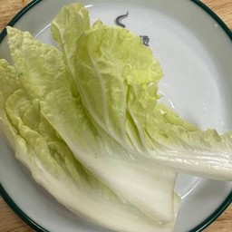 ผักกาดขาว
