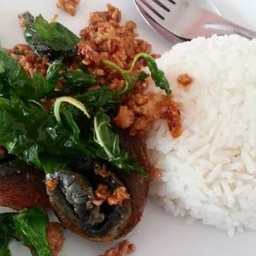 ข้าวกะเพราไข่เยี่ยวม้า