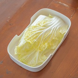 ผักกาดขาว