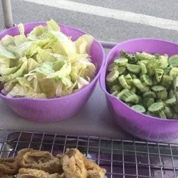 ผักกะหล่ำ