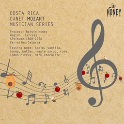 Drip Costa rica Mozart