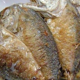 ปลาทูทอด จำนวน2ตัว