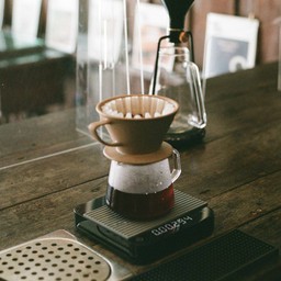 Malawi Chitipa Geisha (White honey process) หอมหวาน