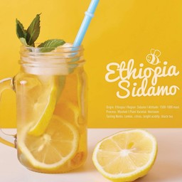 Drip Ethiopoa Sidamo