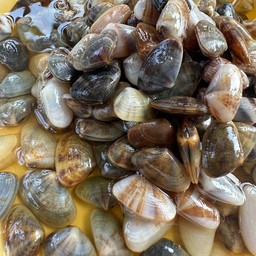 หอยเสียบดองน้ำปลา