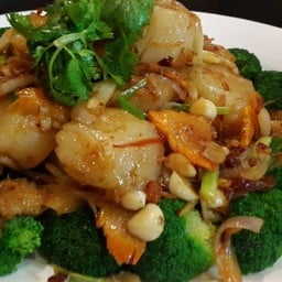 หอยเชลล์อบร็อคโคลี่ XO -L