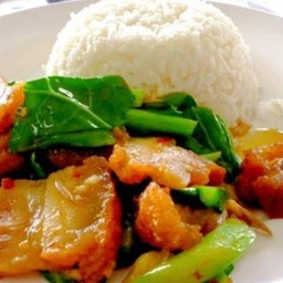 คะน้าหมูกรอบ  ราดข้าว