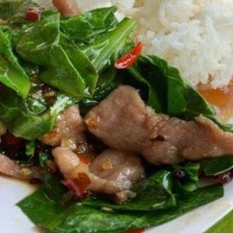 ผัดคะน้าหมู