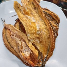 ปลาช่อนทะเล