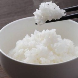 ข้าวญี่ปุ่น