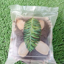ชาพะยอมตลาดเกียเจริญ ตลาดเกียเจริญ