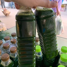 น้ำใบย่านาง