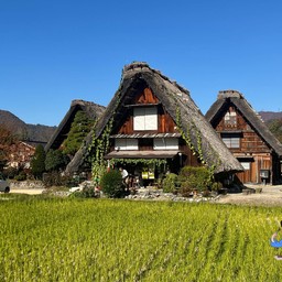 shirakawa-go