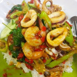 กระเพราทะเล