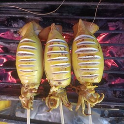 หมึกไข่
